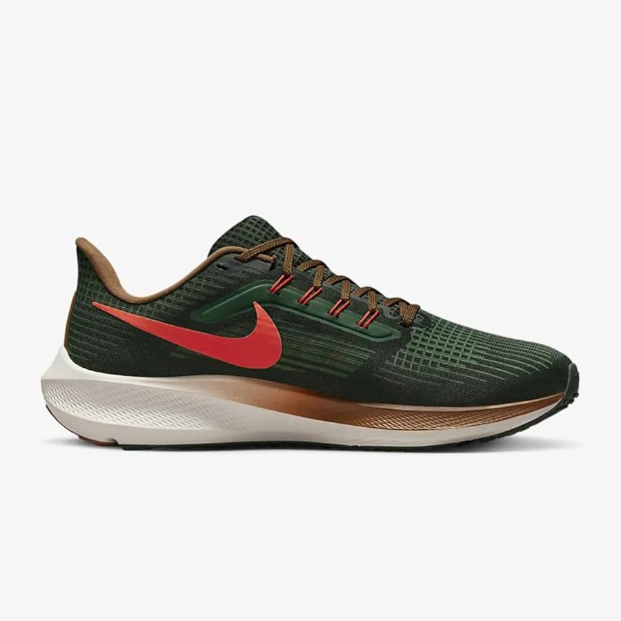 【新品未使用】ナイキ ペガサス 39 AIR HOLA LOU 27.5㎝ NIKE AIR ZOOM PEGASUS 39 A.I.R. HOLA LOU GORGE GREEN ALE